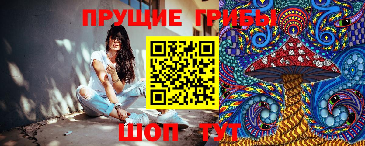 Кубинка  Псилоцибиновые грибы GOLDEN TEACHER  Вход с VPN 